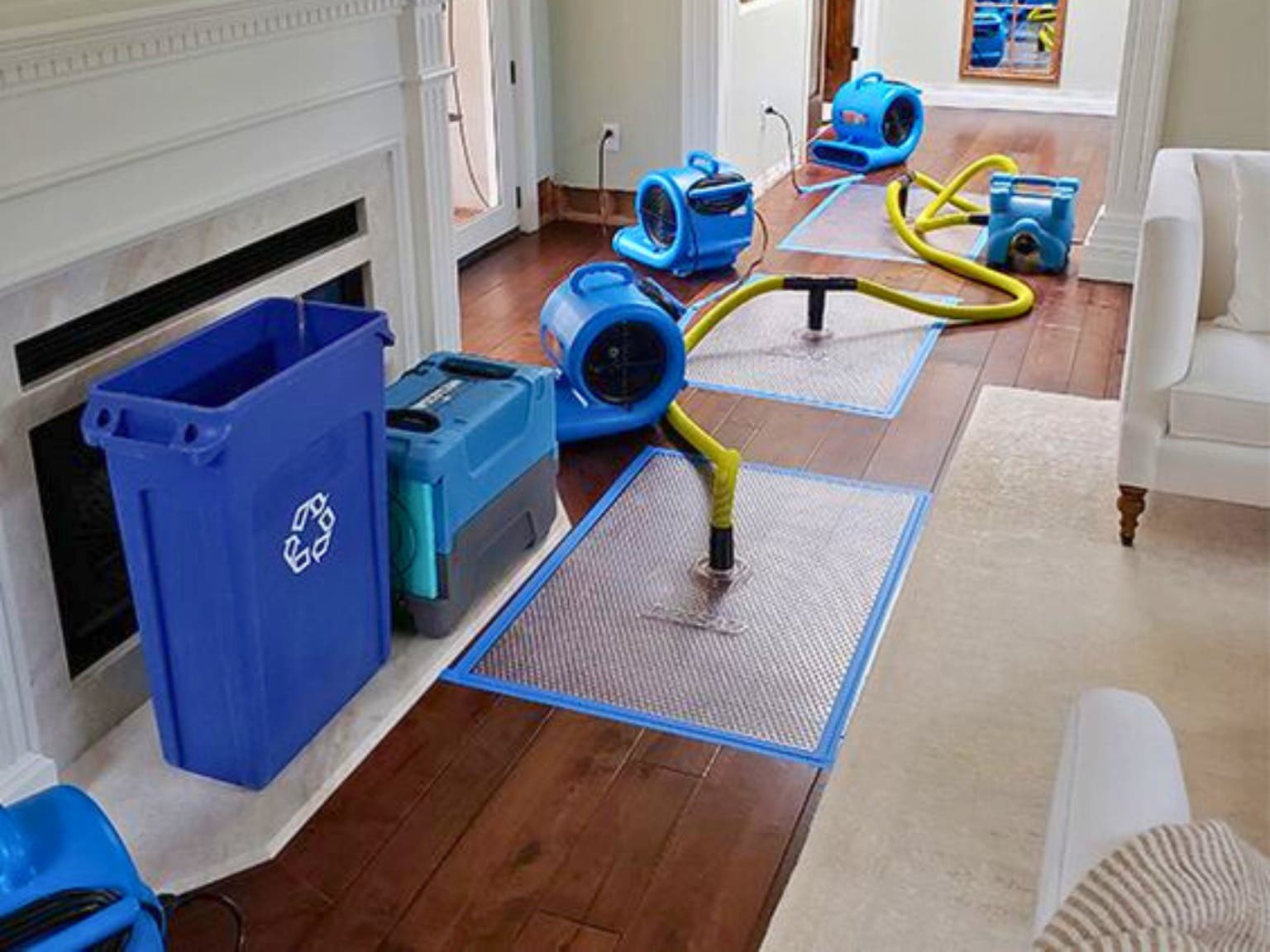 Mold Remediation Service