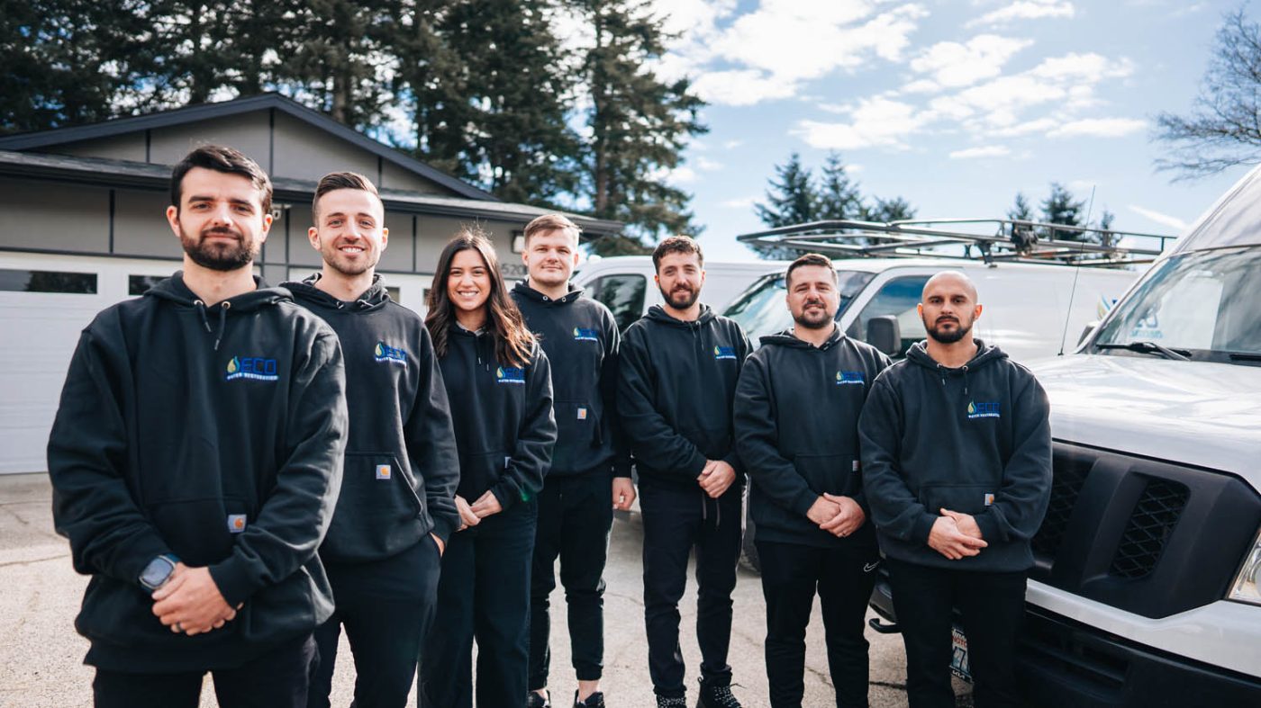 Professional Water Damage Restoration Team